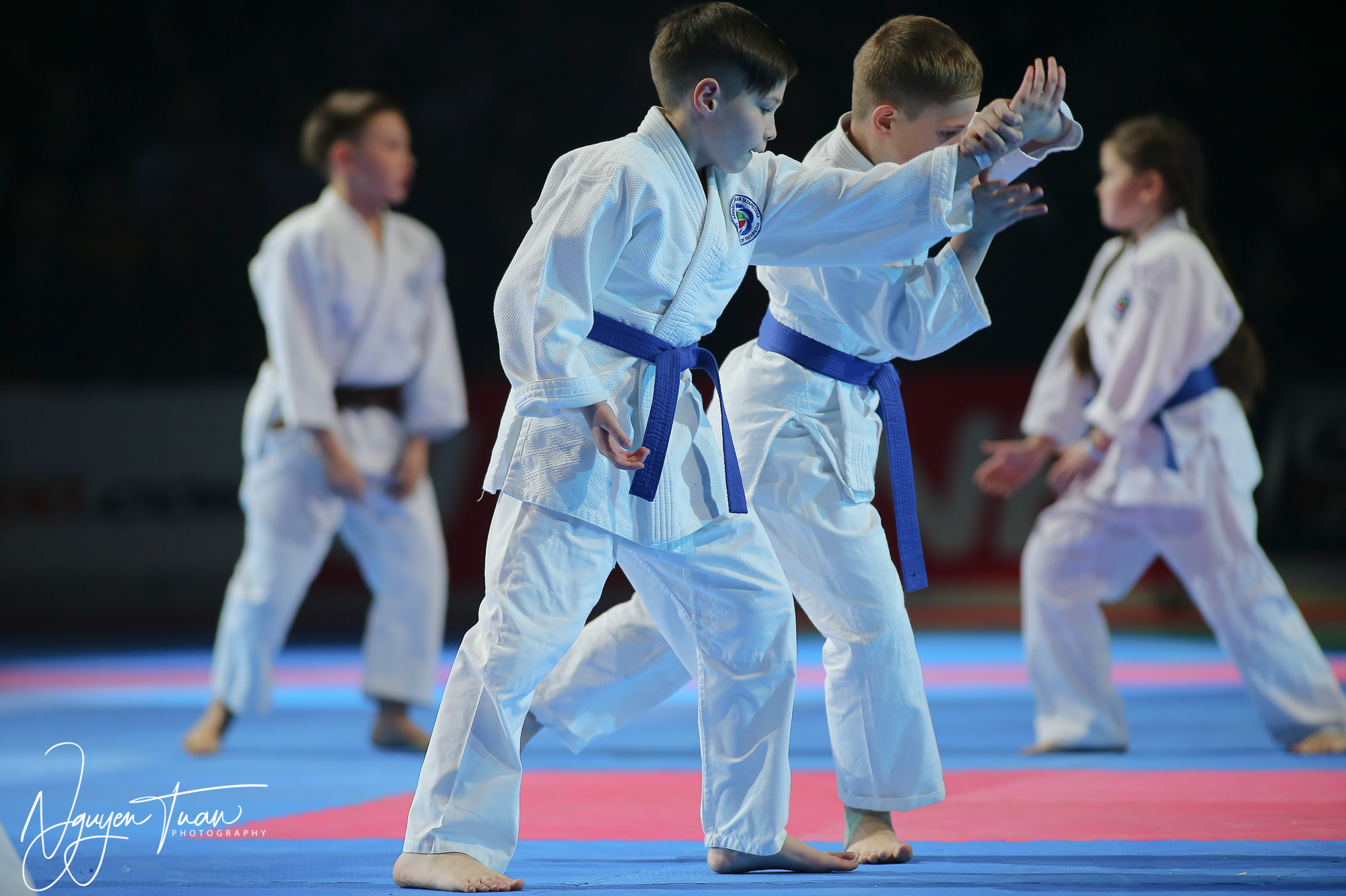 20190324 Festival des Arts Martiaux 3645